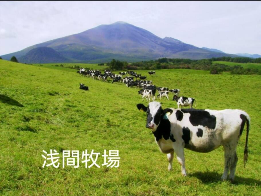 おもちゃ王国と北軽井沢の大自然を満喫できる貸別荘 Karuizawa Dış mekan fotoğraf
